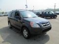 2004 Eternal Blue Pearl Honda CR-V EX 4WD  photo #8