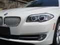 2011 Alpine White BMW 5 Series 550i Sedan  photo #20