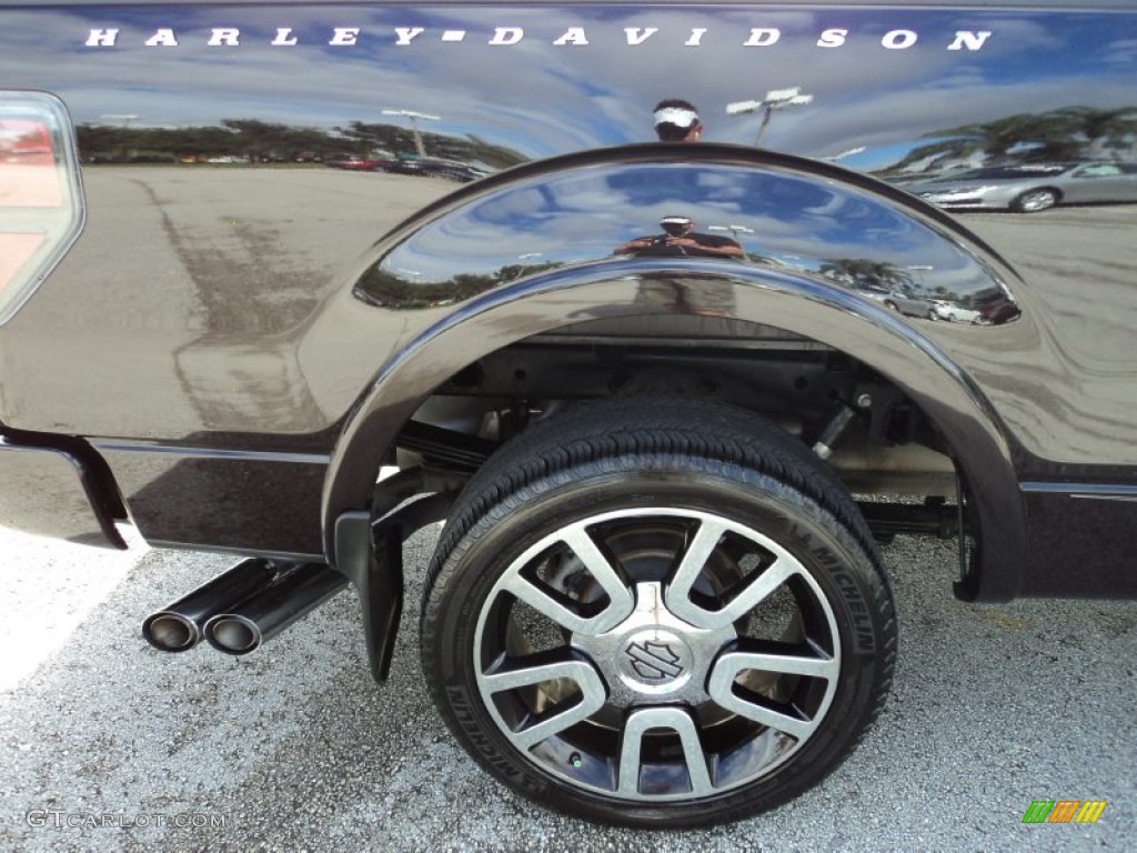 2010 Ford F150 Harley-Davidson SuperCrew 4x4 Wheel Photo #65579804