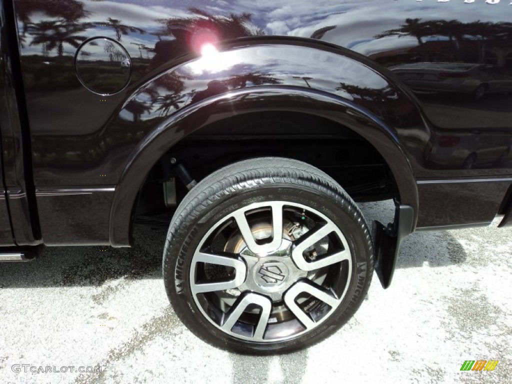 2010 Ford F150 Harley-Davidson SuperCrew 4x4 Wheel Photo #65579861