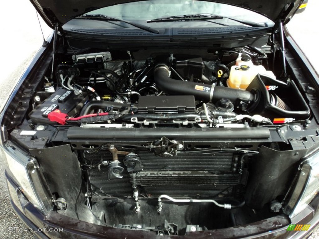 2010 Ford F150 Harley-Davidson SuperCrew 4x4 5.4 Liter Flex-Fuel SOHC 24-Valve VVT Triton V8 Engine Photo #65580035