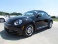Black - Beetle 2.5L Photo No. 1