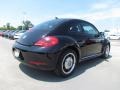 Black - Beetle 2.5L Photo No. 2