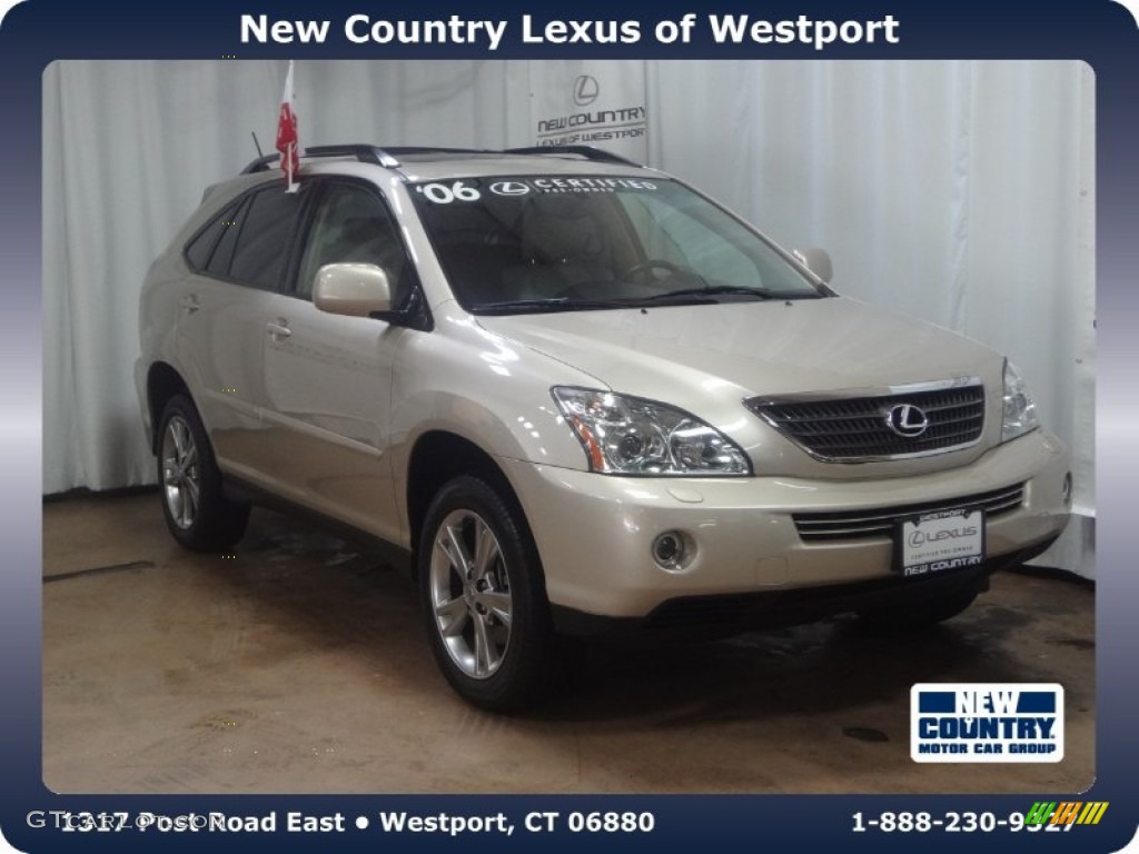 Savannah Metallic Lexus RX