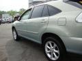 Bamboo Pearl - RX 350 AWD Photo No. 5