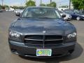 Steel Blue Metallic - Charger SE Photo No. 16