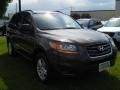 Espresso Brown - Santa Fe GLS Photo No. 20
