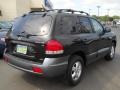 2006 Black Obsidian Hyundai Santa Fe GLS 4WD  photo #2