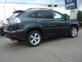 Flint Mica - RX 350 AWD Photo No. 5