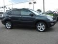 Flint Mica - RX 350 AWD Photo No. 6