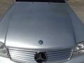 Brilliant Silver Metallic - SL 500 Roadster Photo No. 11