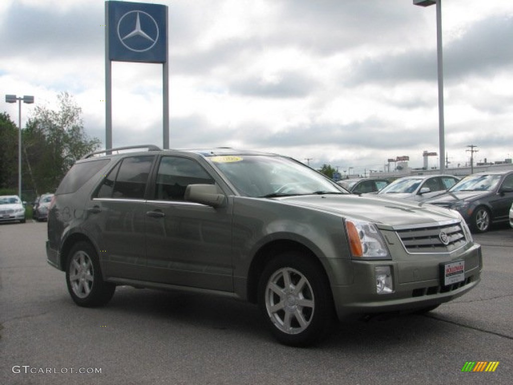 2005 Silver Green Cadillac Srx V6 65553663 Photo 3
