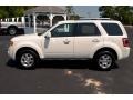 2010 White Suede Ford Escape Limited V6  photo #8