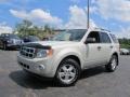 2009 Light Sage Metallic Ford Escape XLT V6 4WD  photo #1