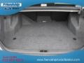 Platinum Metallic - LeSabre Custom Photo No. 11