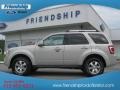 2009 Light Sage Metallic Ford Escape Limited 4WD  photo #1
