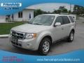 2009 Light Sage Metallic Ford Escape Limited 4WD  photo #2