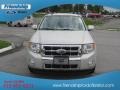 2009 Light Sage Metallic Ford Escape Limited 4WD  photo #3