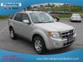 2009 Light Sage Metallic Ford Escape Limited 4WD  photo #4