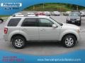 2009 Light Sage Metallic Ford Escape Limited 4WD  photo #5