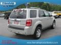 2009 Light Sage Metallic Ford Escape Limited 4WD  photo #6