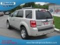 2009 Light Sage Metallic Ford Escape Limited 4WD  photo #8