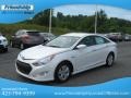 Porcelain White Pearl - Sonata Hybrid Photo No. 3