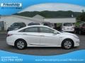 Porcelain White Pearl - Sonata Hybrid Photo No. 6