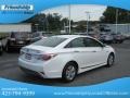 Porcelain White Pearl - Sonata Hybrid Photo No. 7