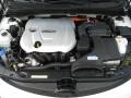 Porcelain White Pearl - Sonata Hybrid Photo No. 10