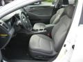Porcelain White Pearl - Sonata Hybrid Photo No. 14