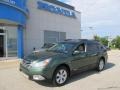 2010 Cypress Green Pearl Subaru Outback 2.5i Limited Wagon  photo #1