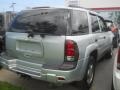 Silverstone Metallic - TrailBlazer LS Photo No. 2