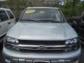 Silverstone Metallic - TrailBlazer LS Photo No. 13
