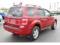 2010 Sangria Red Metallic Ford Escape XLT V6 4WD  photo #16