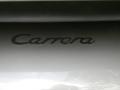 Meteor Grey Metallic - 911 Carrera Coupe Photo No. 30