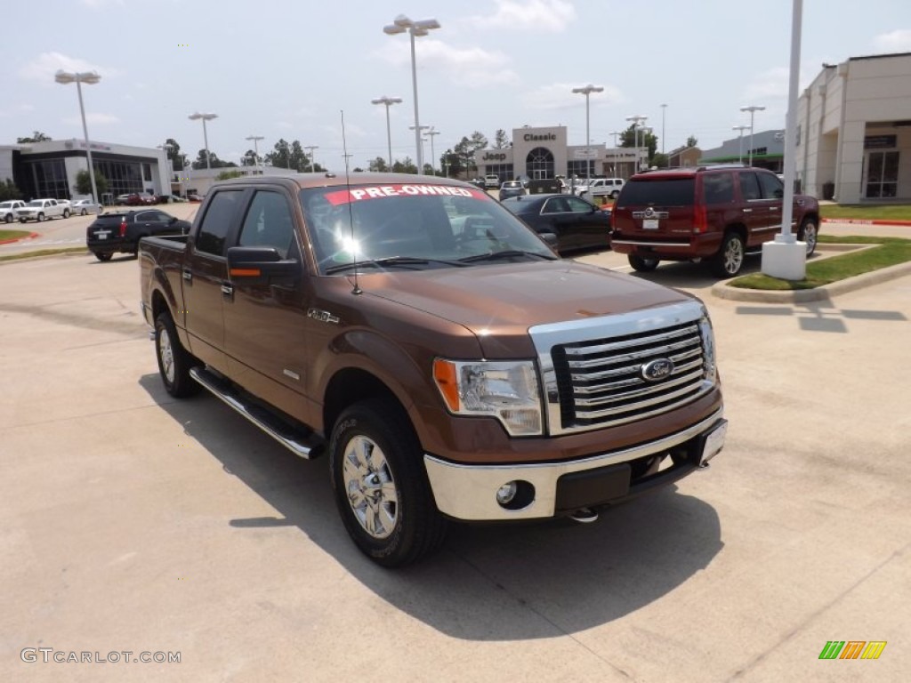 2012 F150 XLT SuperCrew 4x4 - Golden Bronze Metallic / Pale Adobe photo #7