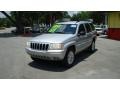 2002 Bright Silver Metallic Jeep Grand Cherokee Limited  photo #8