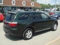 2011 Natural Green Pearl Dodge Durango Express 4x4  photo #3