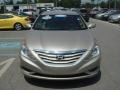 Camel Pearl - Sonata GLS Photo No. 2