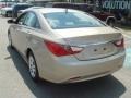 Camel Pearl - Sonata GLS Photo No. 5