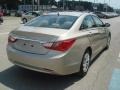 Camel Pearl - Sonata GLS Photo No. 7