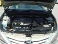 Camel Pearl - Sonata GLS Photo No. 27