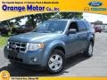 2010 Steel Blue Metallic Ford Escape XLT V6 4WD  photo #1