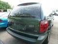 Shale Green Metallic - Caravan SE Photo No. 2