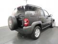 Black Clearcoat - Liberty Sport 4x4 Photo No. 26