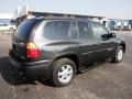 Carbon Metallic - Envoy SLE 4x4 Photo No. 24
