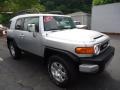 Titanium Metallic - FJ Cruiser 4WD Photo No. 6