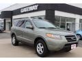 2007 Natural Khaki Green Hyundai Santa Fe GLS 4WD  photo #3