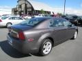 Taupe Gray Metallic - Malibu LS Sedan Photo No. 7